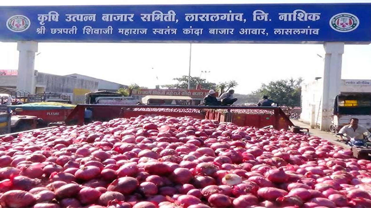 Live Onion Market