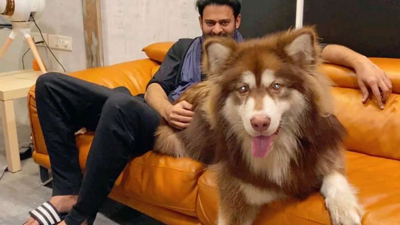 Prabhas