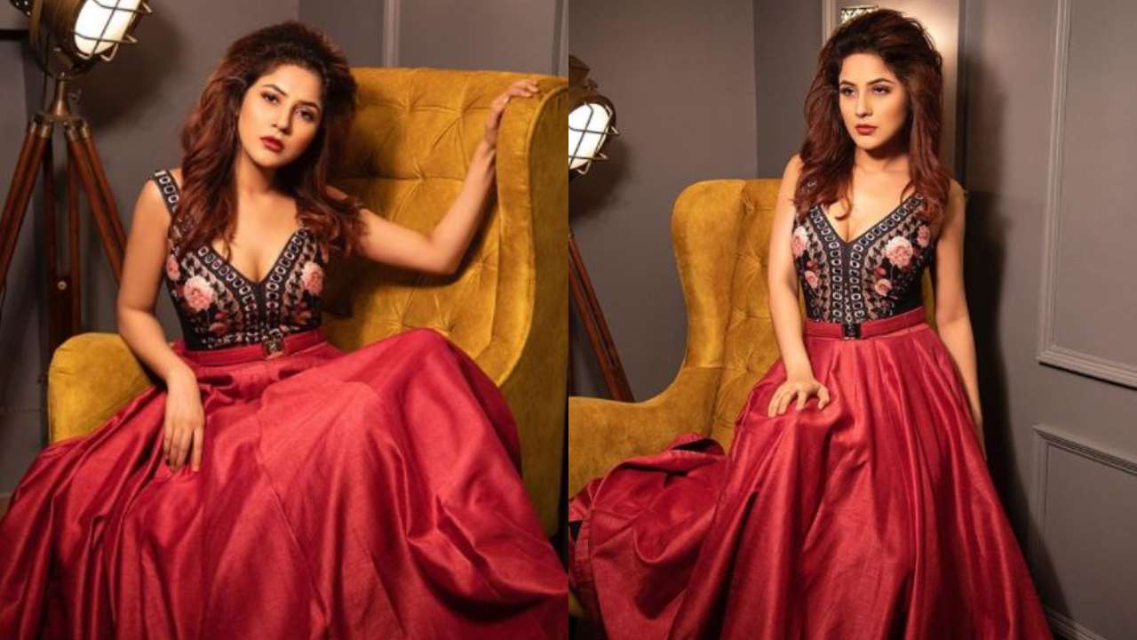 Shehnaaz Gill looks regal