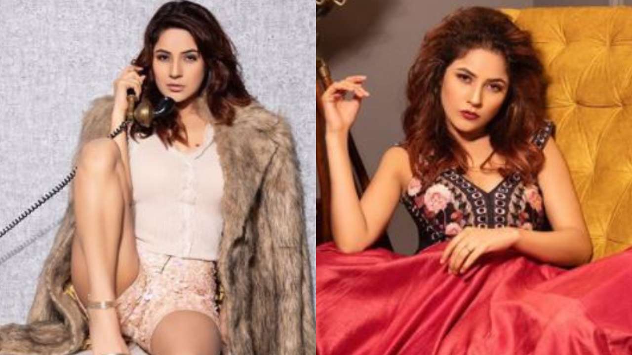 In pics: shehnaaz gill oozes glamour in latest photoshoot as she sends internet into meltdown