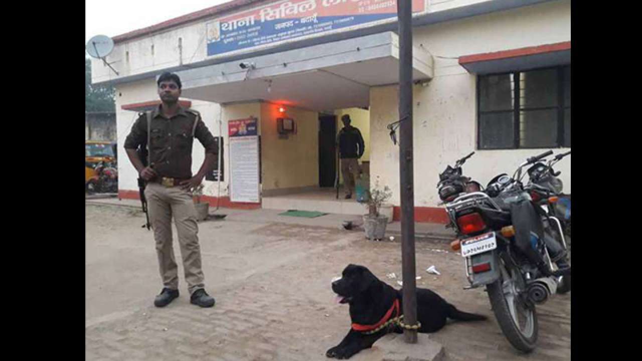 Madhya Pradesh: Dog to undergo DNA Test to settle ownership dispute