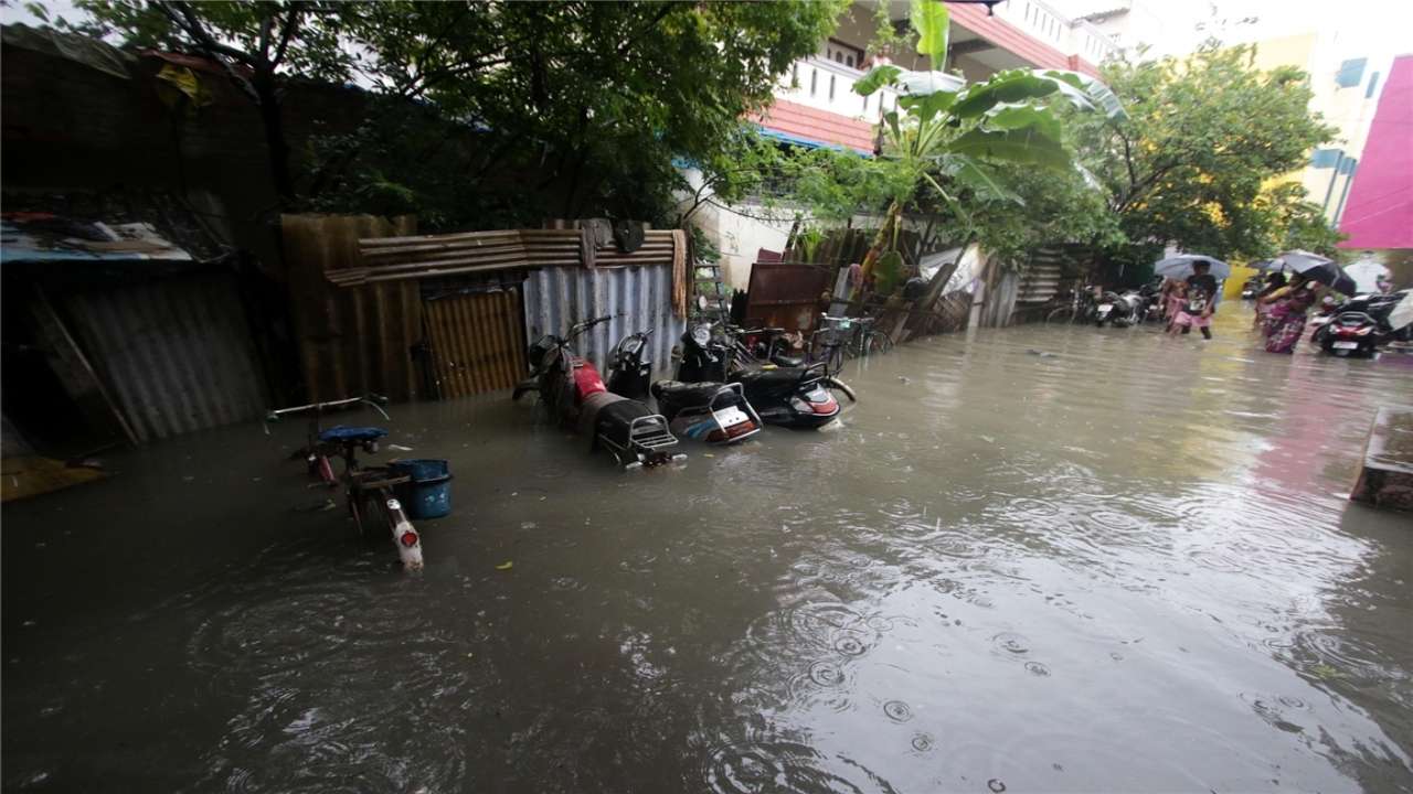 In Pics | Waterlogged streets, uprooted trees: Aftermath of Cyclone Nivar