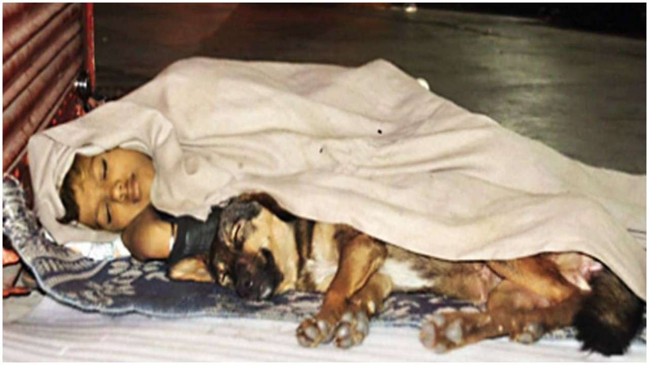 Father in jail, his mother has deserted him: Heart-warming story of homeless nine-year-old Ankit, his pet Danny - Vimarsana News