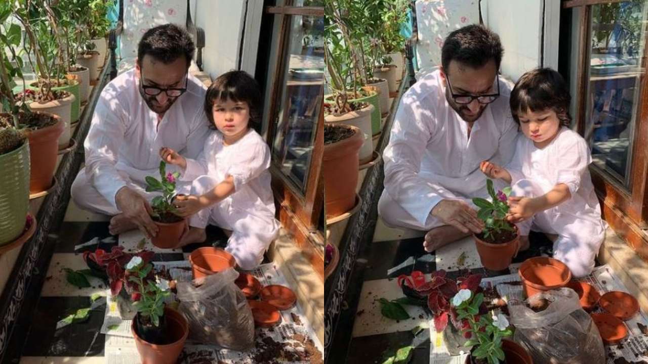 Taimur Ali Khan and Saif Ali Khan's picture perfect moment