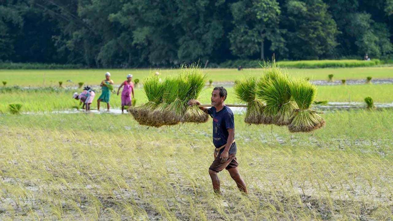 Income support to all small and marginal farmers