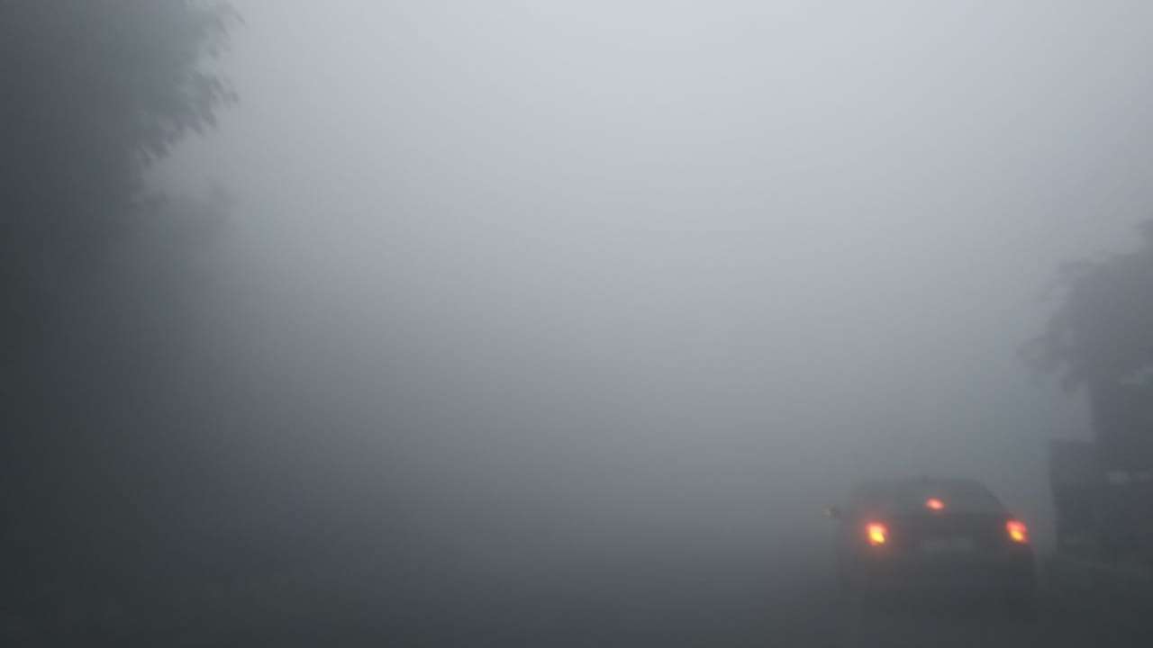 Fog