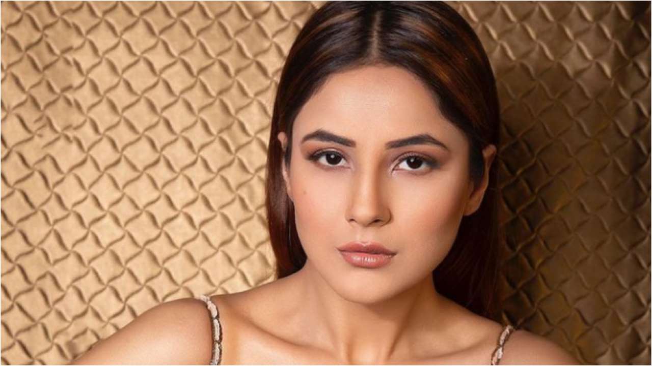 Bigg Boss 13 Fame Shehnaaz Gill Reveals Her Marriage Plans Sends Sidharth Shuklas Fans Into 