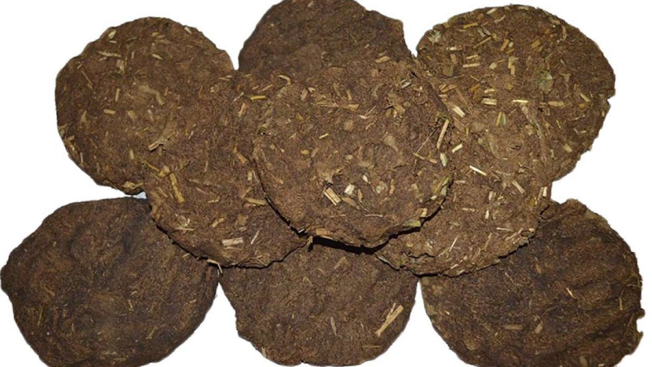 Cow Dung Cakes – Pranada Products