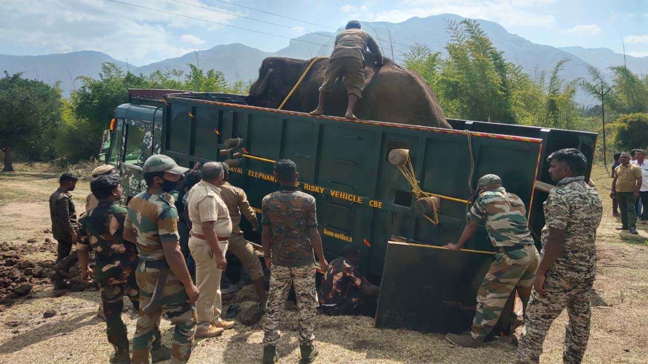 Heartbreaking video of caretaker grieving for dead Elephant
