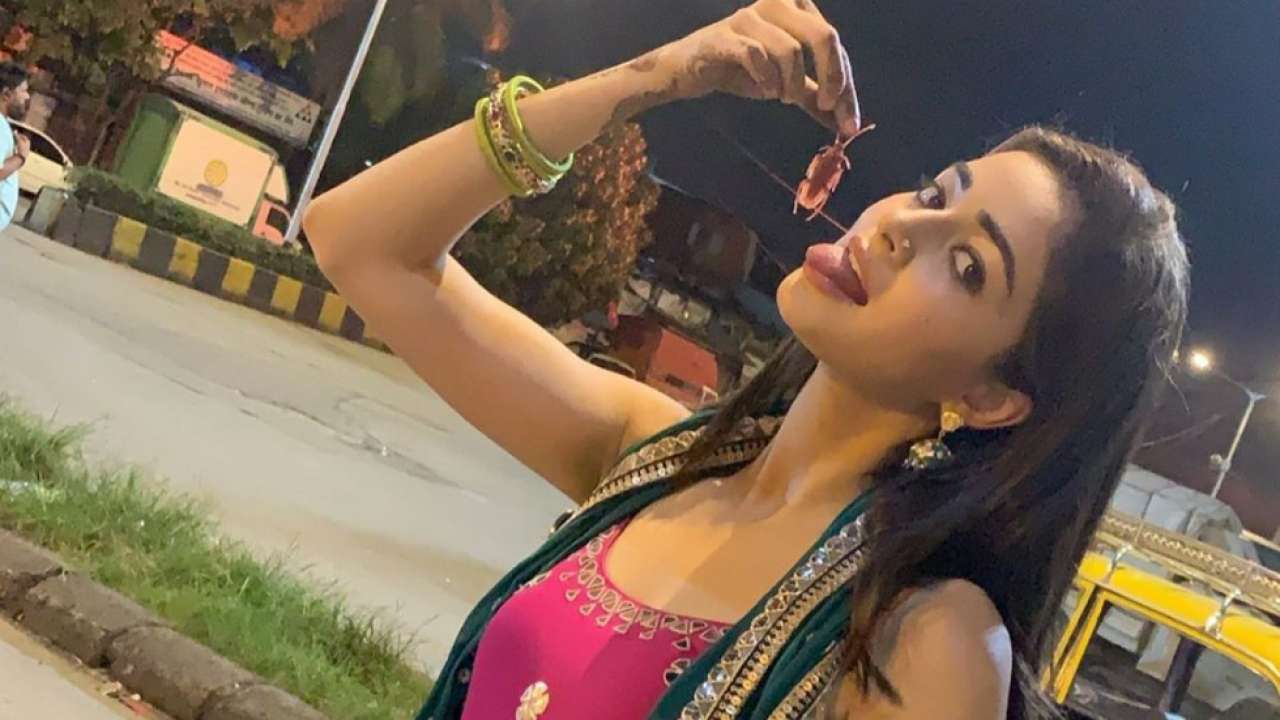 Ananya Panday 'plays' with a cockroach