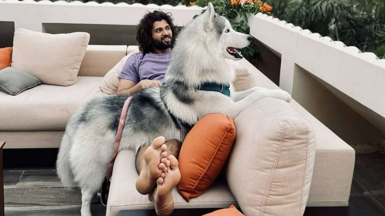 Vijay Deverakonda and his pet canine are in awe of their view