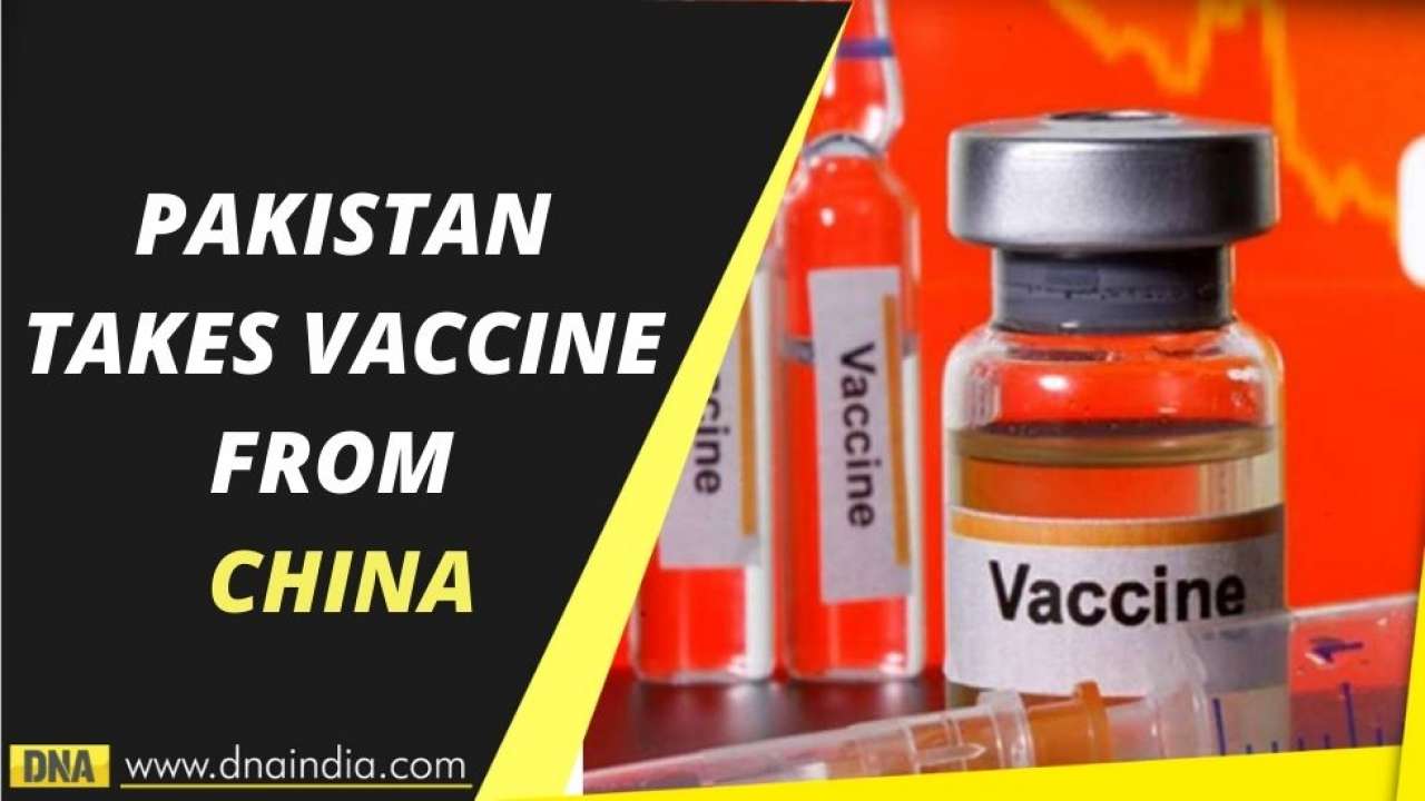 World Is Taking Indian Vaccines But Pakistan Is Seeking Vaccine From China 684 hazel nut price products are offered for sale by suppliers on alibaba.com, of which hazelnuts accounts for 102%, nut & kernel snacks accounts for 1%, and cashew nuts accounts for 1%. taking indian vaccines but pakistan