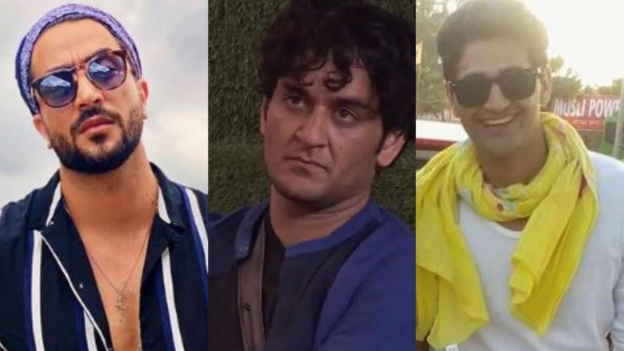 Aly Goni, Vikas Gupta, Vikas Khoker