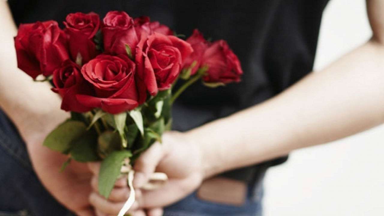Happy Rose Day 2021: WhatsApp wishes, quotes, SMS, couplets to ...