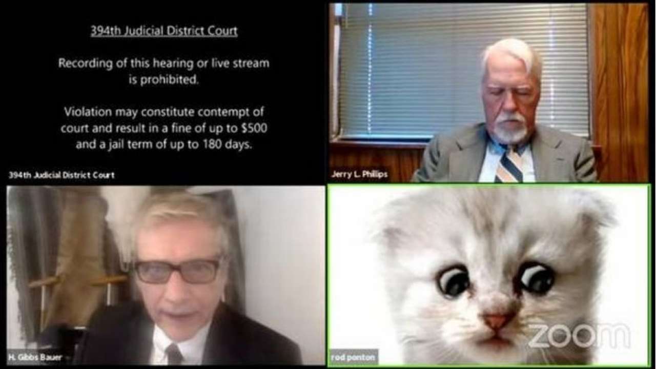 I M Not A Cat Says Lawyer Who Was Unable To Disable Cat Filter During Virtual Court Hearing