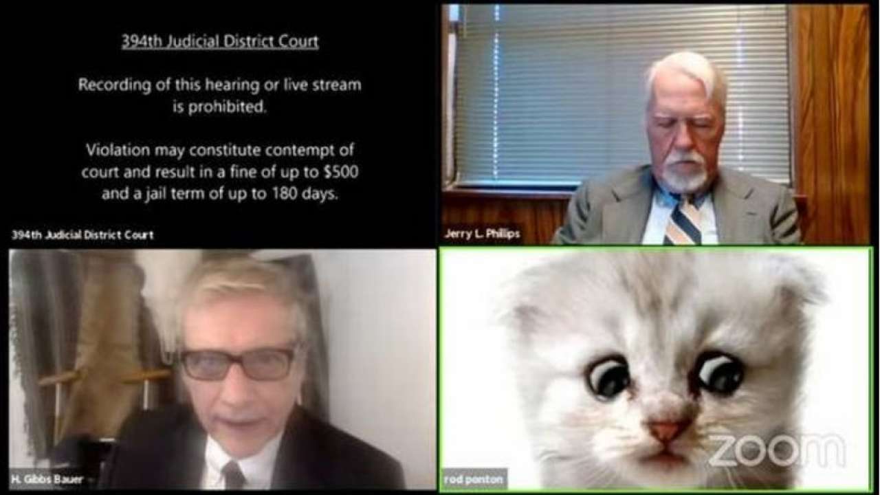 Screenshot of the Zoom call