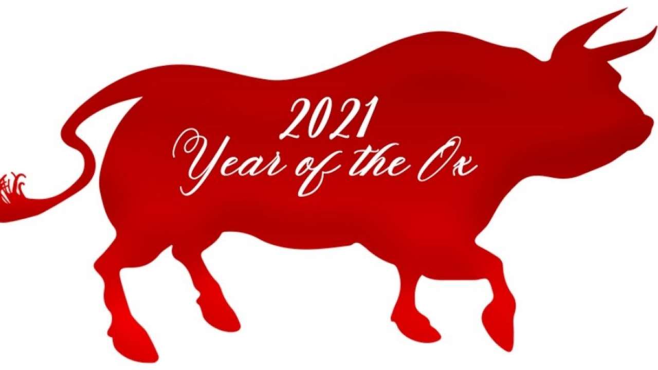 Featured image of post Chinese New Year 2021 Animal / Tied to the chinese lunar calendar chinese new year typically begins with the new moon that occurs between the end of january and the end of february, and it lasts about 15 days.