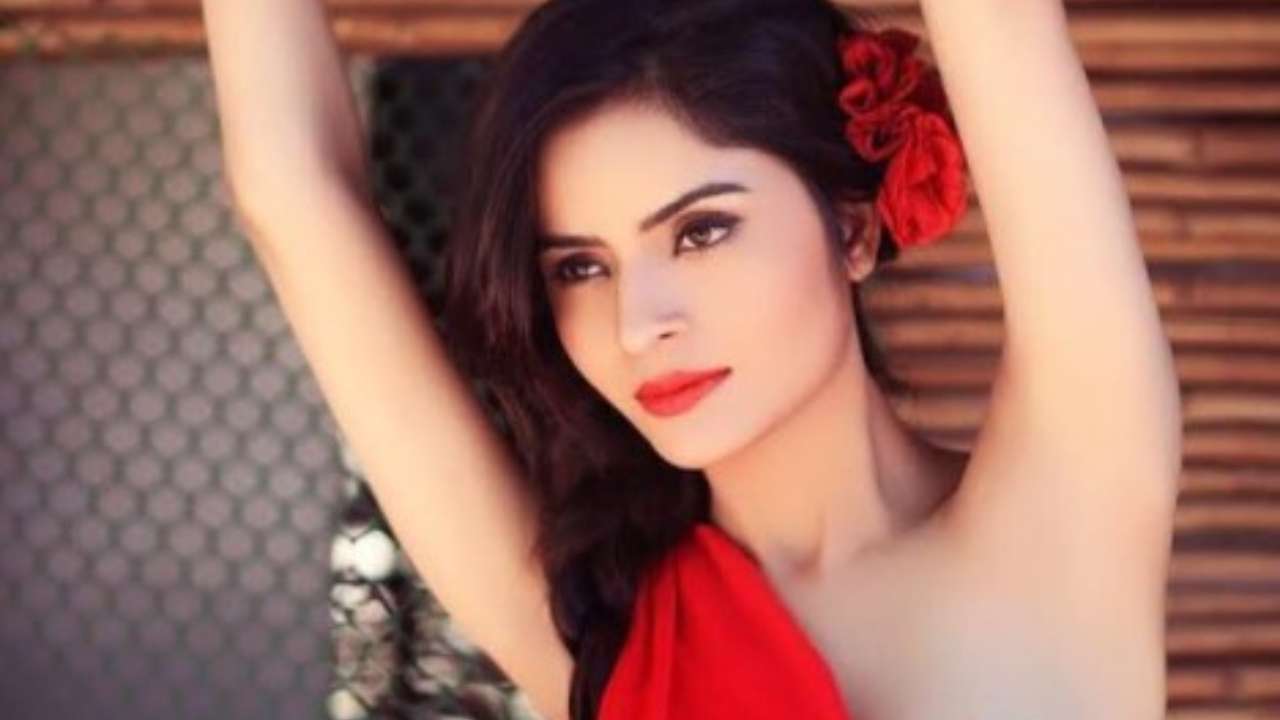 Gang Reps Sex Telugu - Gandii Baat' fame star Gehana Vasisth booked for gangrape after model  alleges she was forced into sexual acts