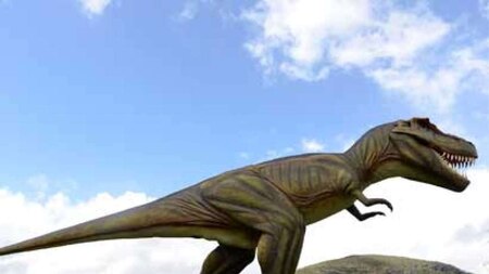 Dinosaurs wiped out by city-sized space rock