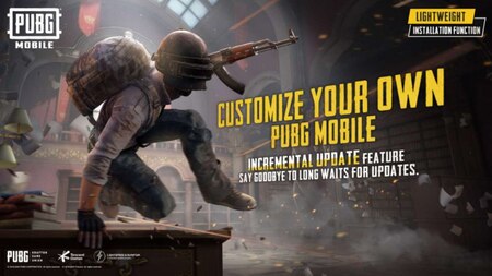 Details of PUBG: New State