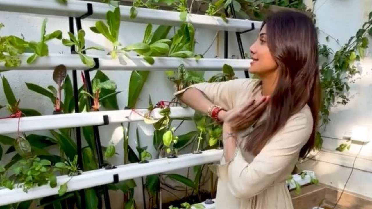 Shilpa Shetty-Raj Kundra house: Backyard Farm