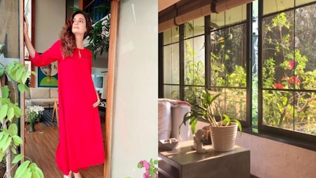 Dia Mirza's balcony filled with lush, green plants