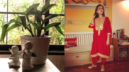 Dia Mirza's home is full of little figurines, brilliant artwork