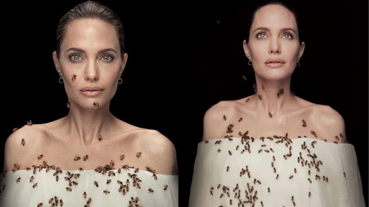 Angelina Jolie Michael Sex Videos - Angelina Jolie was 'covered in bees for 18 minutes' for viral photoshoot