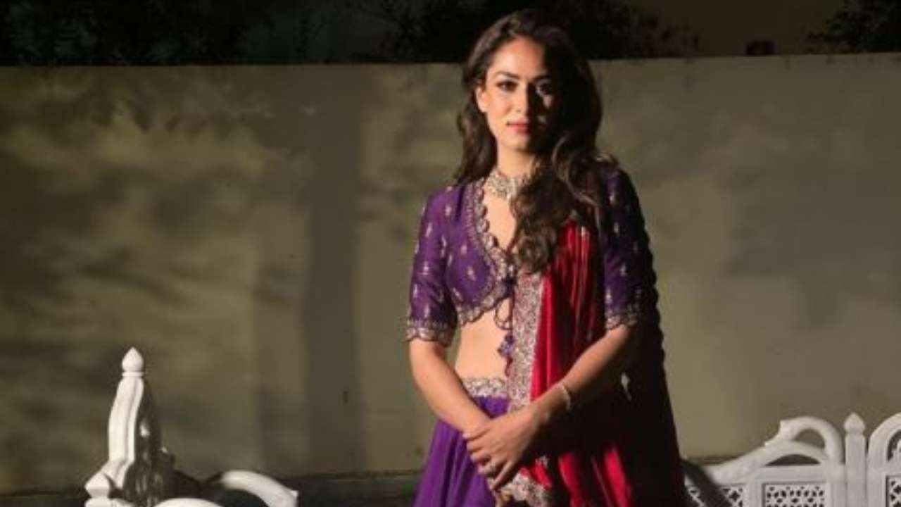 Mira Rajput total net worth