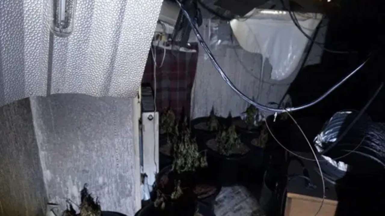 Plastic sheets