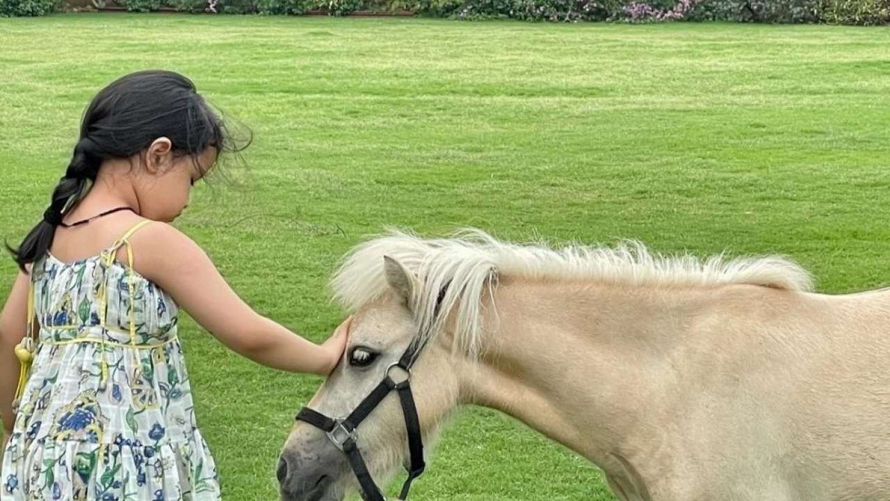 Ziva Dhoni
