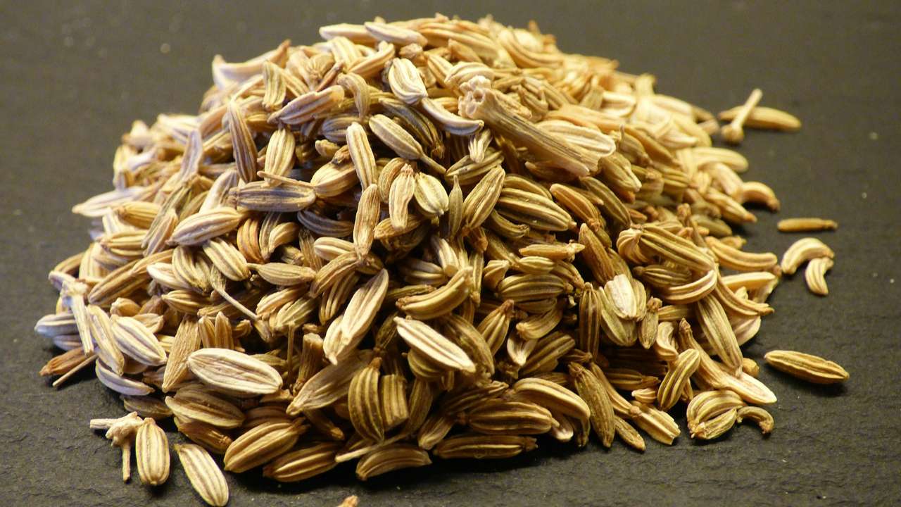 7 incredible health benefits of fennel seeds From aiding in weight