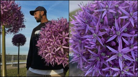 KL Rahul poses with the same flower Athiya Shetty shared on her Instagram story