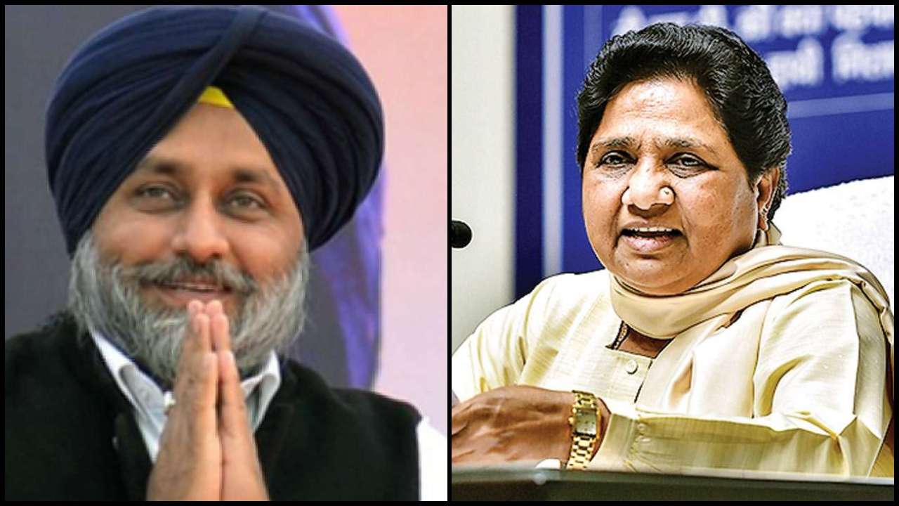 SAD BSP alliance
