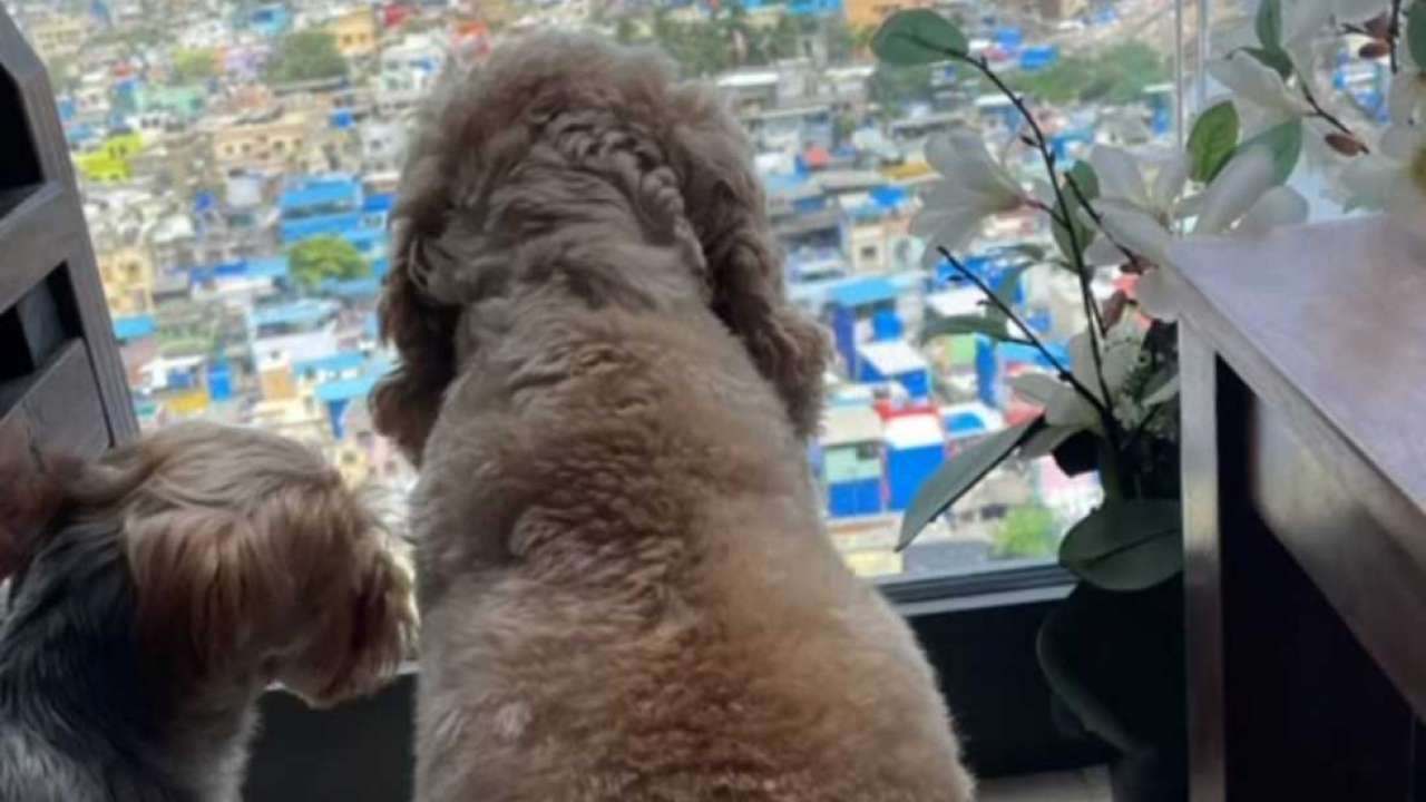 Hardik Pandya Hardik Pandya