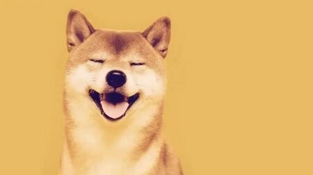 Dogecoin was named after ‘doge’