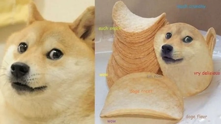 The meme was sold by Atsuko Sako, the owner of the legendary “Doge”