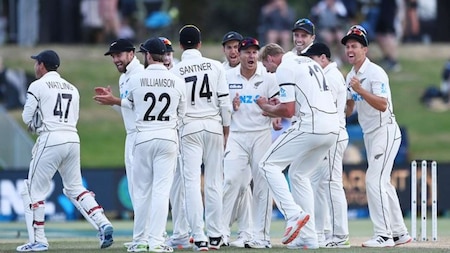 Will New Zealand win the World Test Championship (WTC) Final?