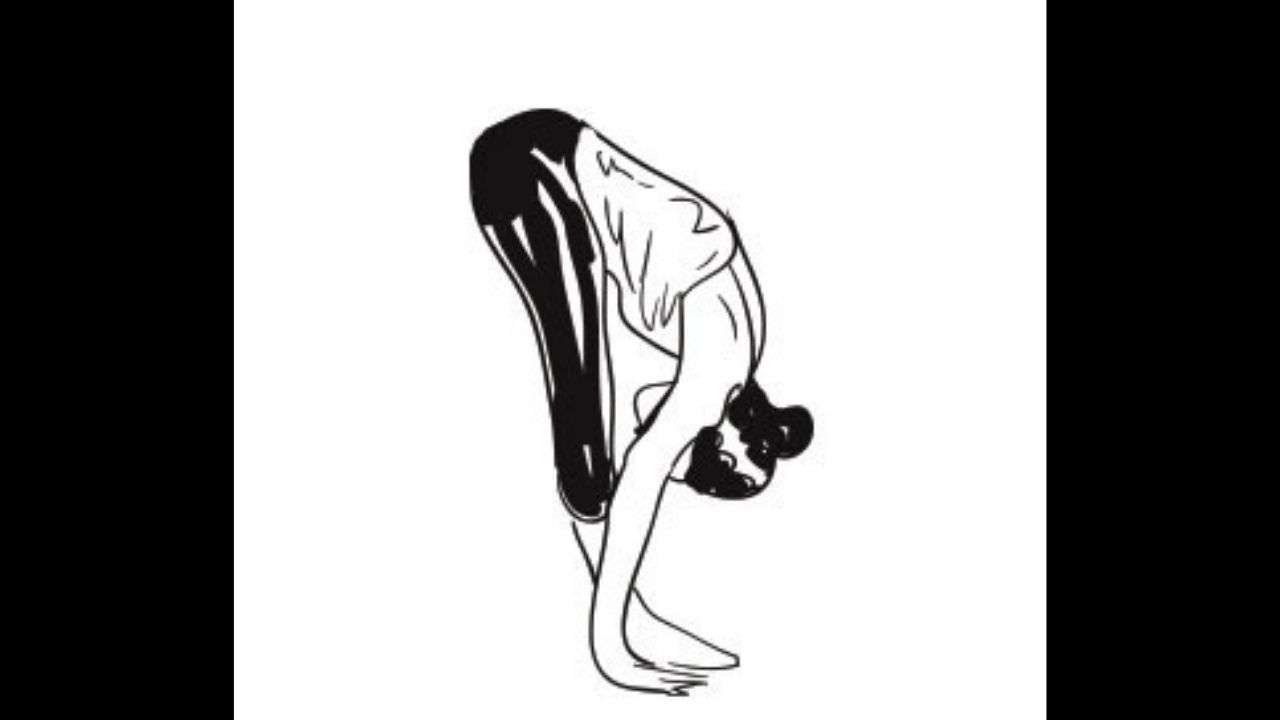 Step 3 Padahastasana/ Uttanasana or Standing forward bend