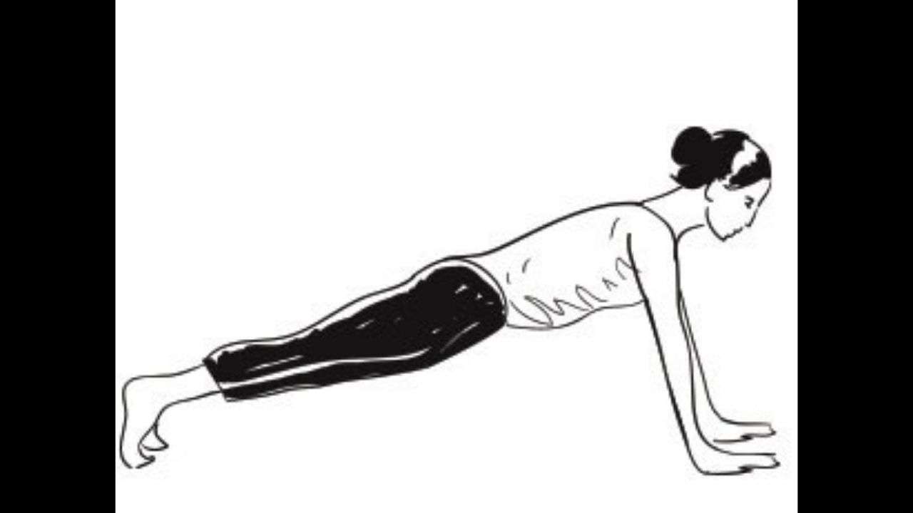 Step 5 Chaturanga Dandasana or Stick pose