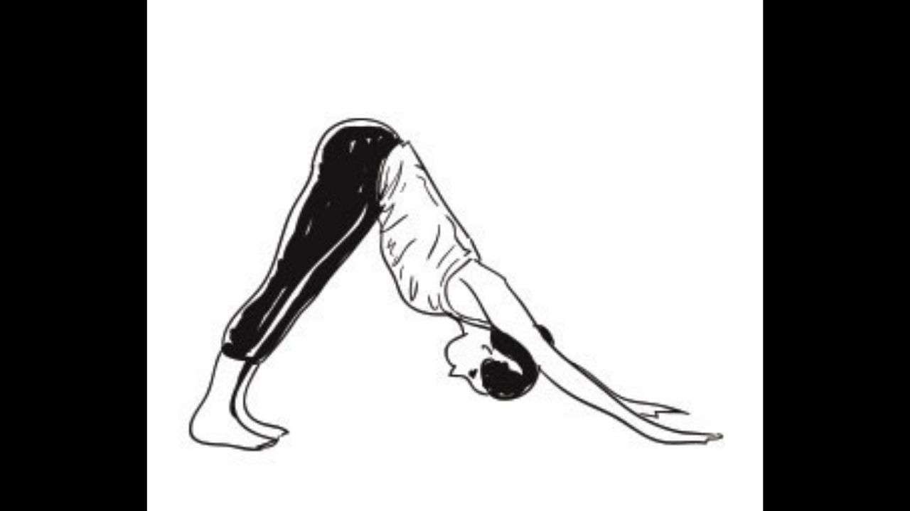 Step 8 Adho Mukha Svanasana or Downward facing dog pose