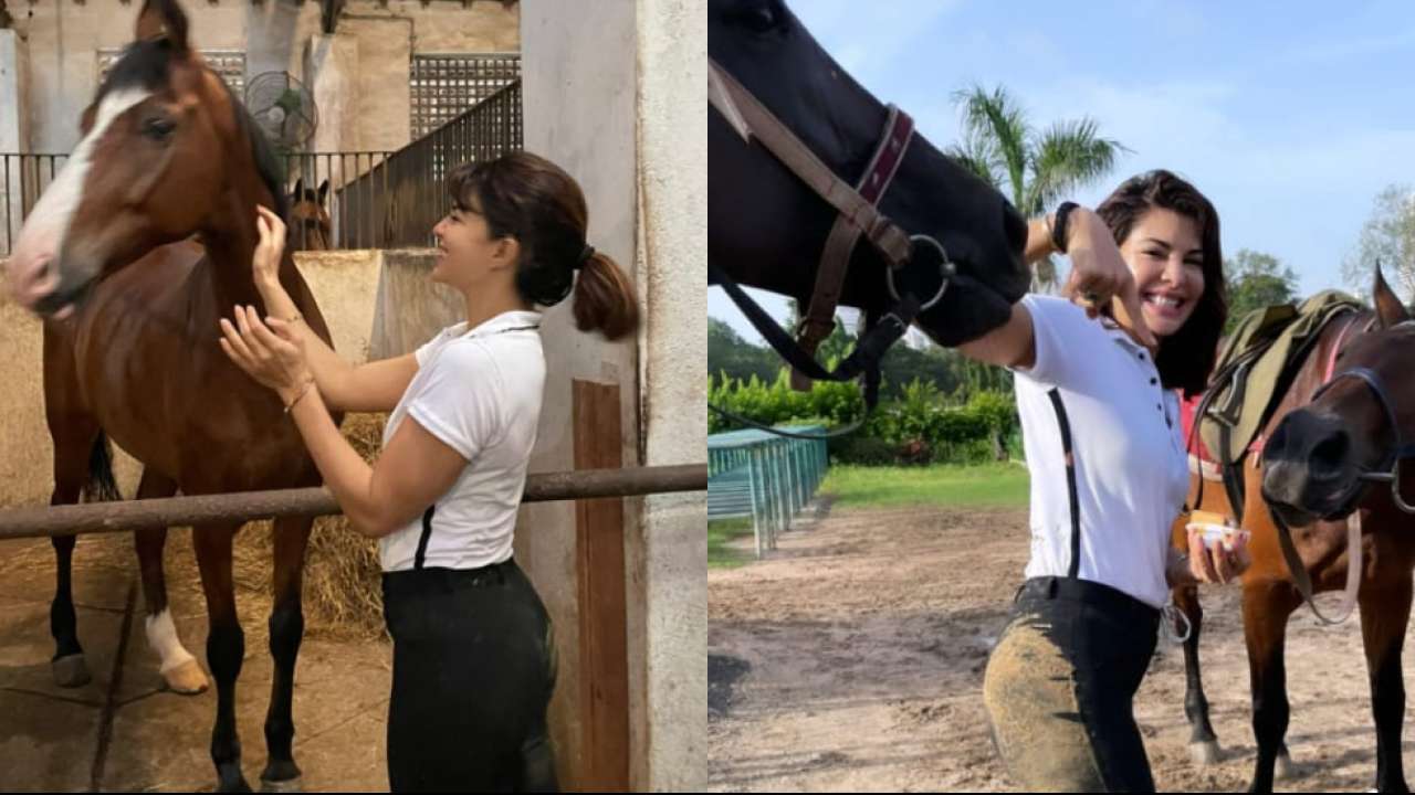 Jacqueline Fernandez shares glimpses of her horse-riding session, says ‘successfully fell off my horse today’