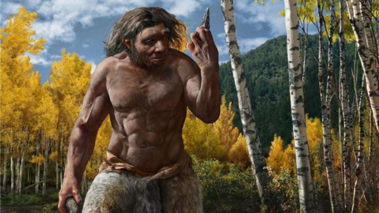 Dragon Man 1 40 000 Year Old Skull Leads To Discovery Of New Human Species