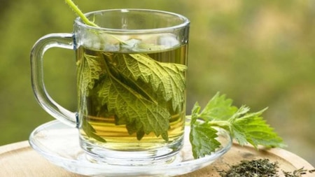 Nettle leaf Tea