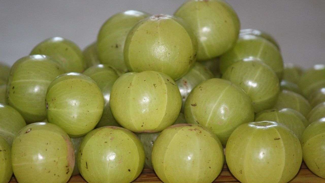 Amla/ Indian gooseberry for hair growth