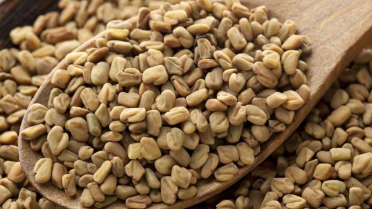 Fenugreek Seeds