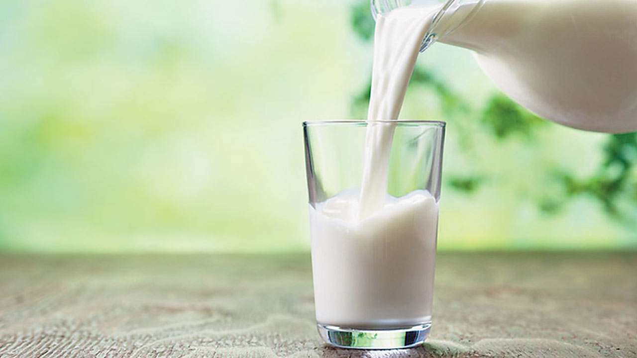 Hot milk or Cold milk: Which one is better and more beneficial for health?