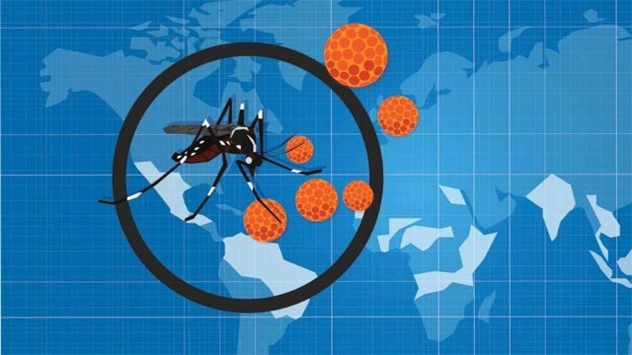 Zika Virus case found in Kerala - know the symptoms, treatment of deadly  virus