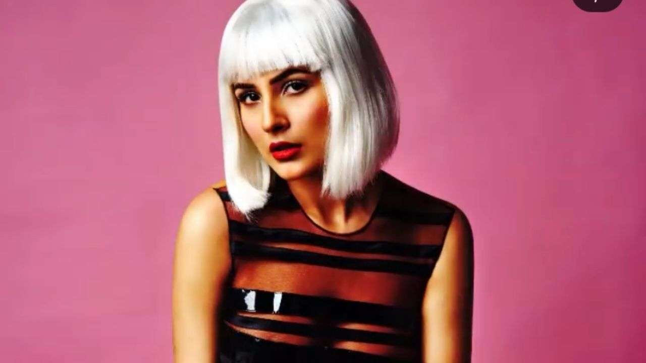 Shehnaaz Gill's sexy diva look in latest photoshoot is driving netizens wild, fans call her 'the next big thing’ 