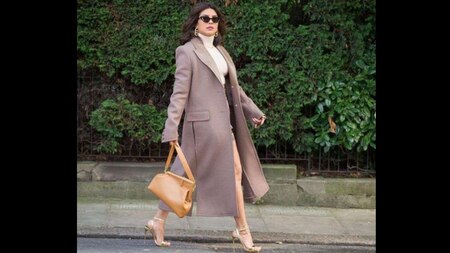 Priyanka Chopra recently carried a tan brown Fendi bag